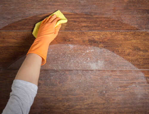 Say Goodbye to Dust Bunnies: Expert Tips for Dust-Free Living in Summerlin